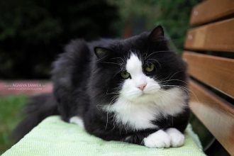 IMG_0170
